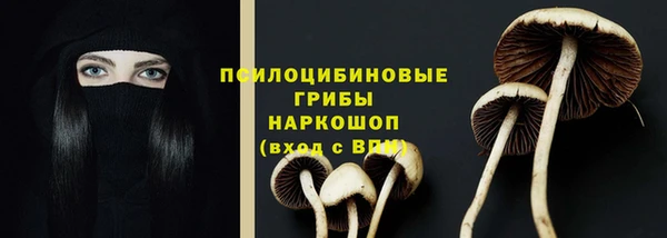 не бодяженный Белокуриха