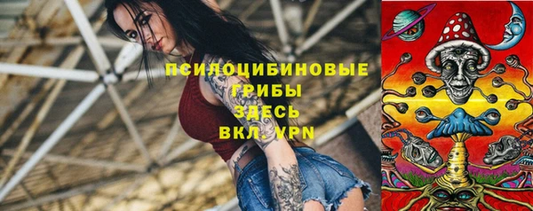 не бодяженный Белокуриха